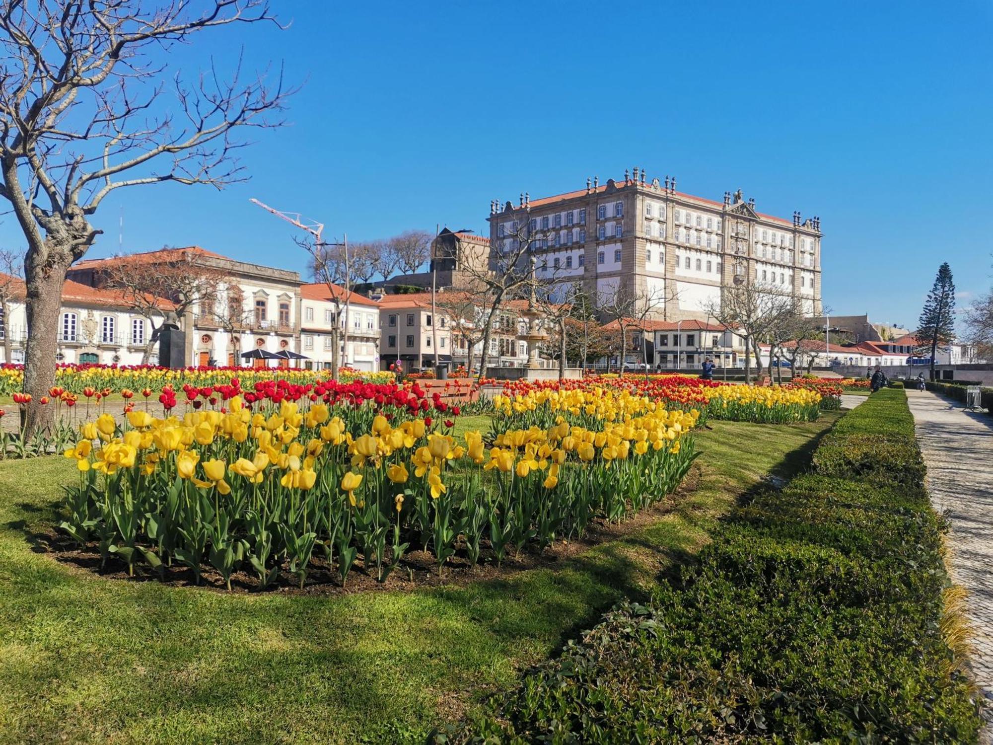 Villa Amor Perfeito Vila do Conde Eksteriør billede